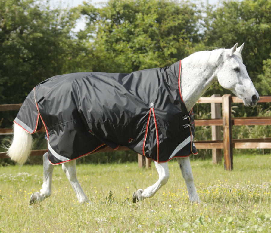 Premier Equine Buster Hardy 100g Half Neck Turnout Rug