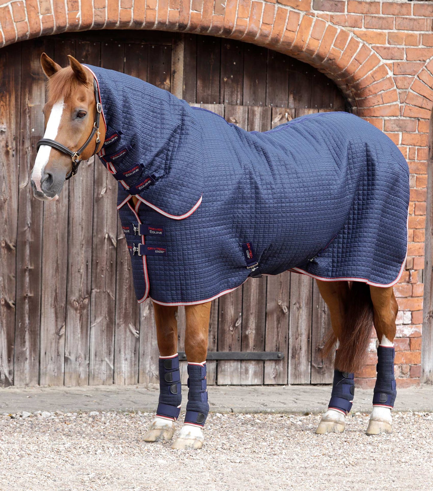Premier Equine Combo Dry-Tech Horse Cooler / Travel Rug