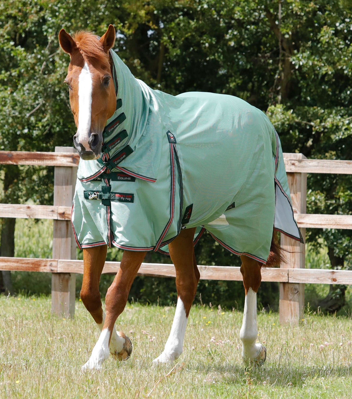 Premier Equine Combo Mesh Air Fly Rug with Surcingles