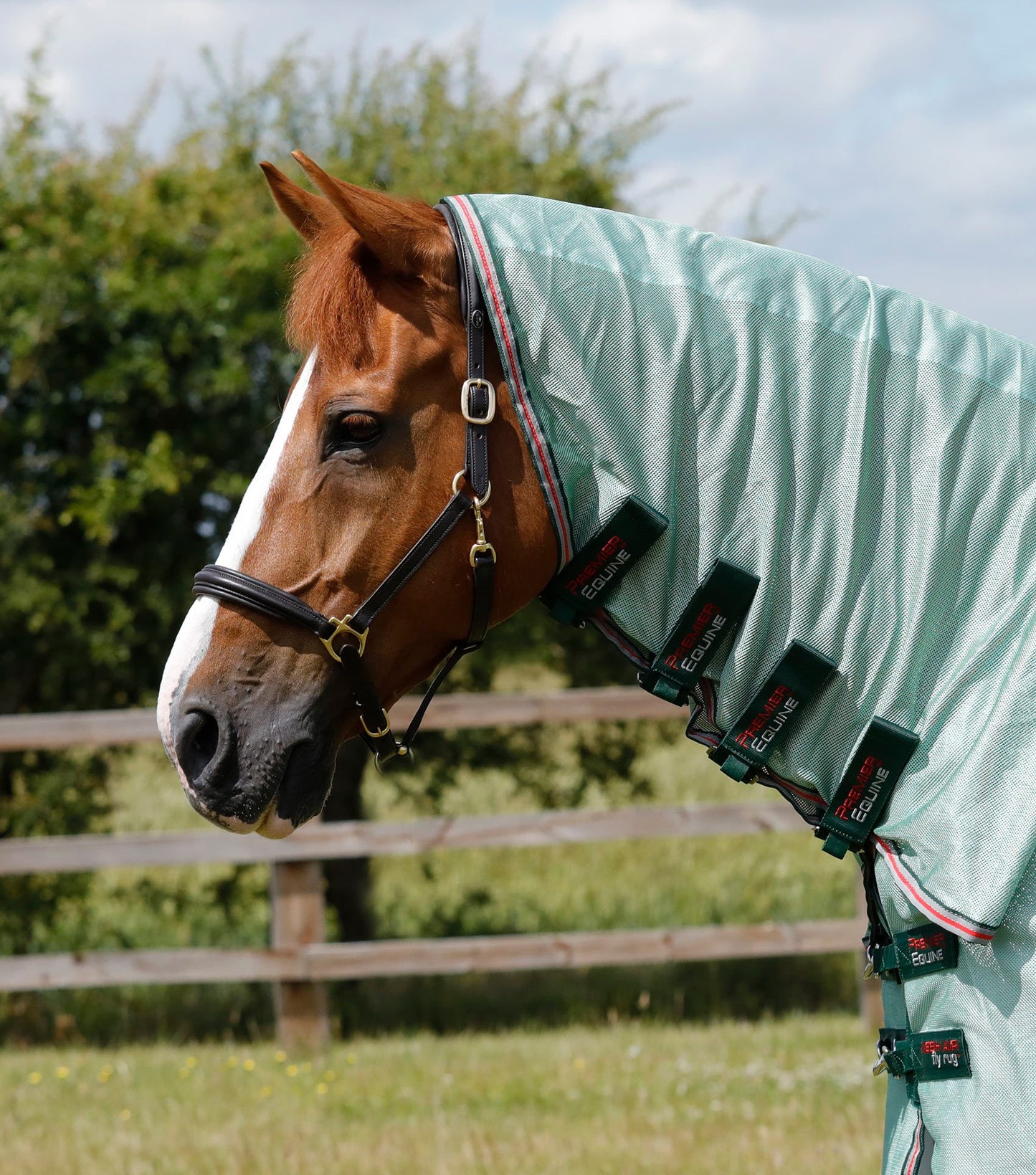 Premier Equine Combo Mesh Air Fly Rug with Surcingles