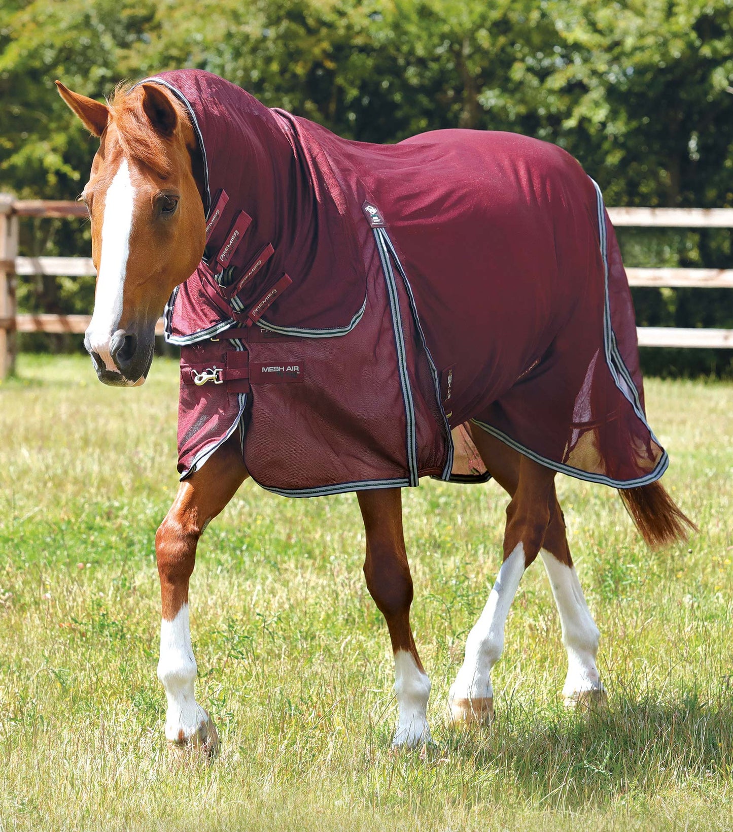 Premier Equine Combo Mesh Air Fly Rug with Surcingles
