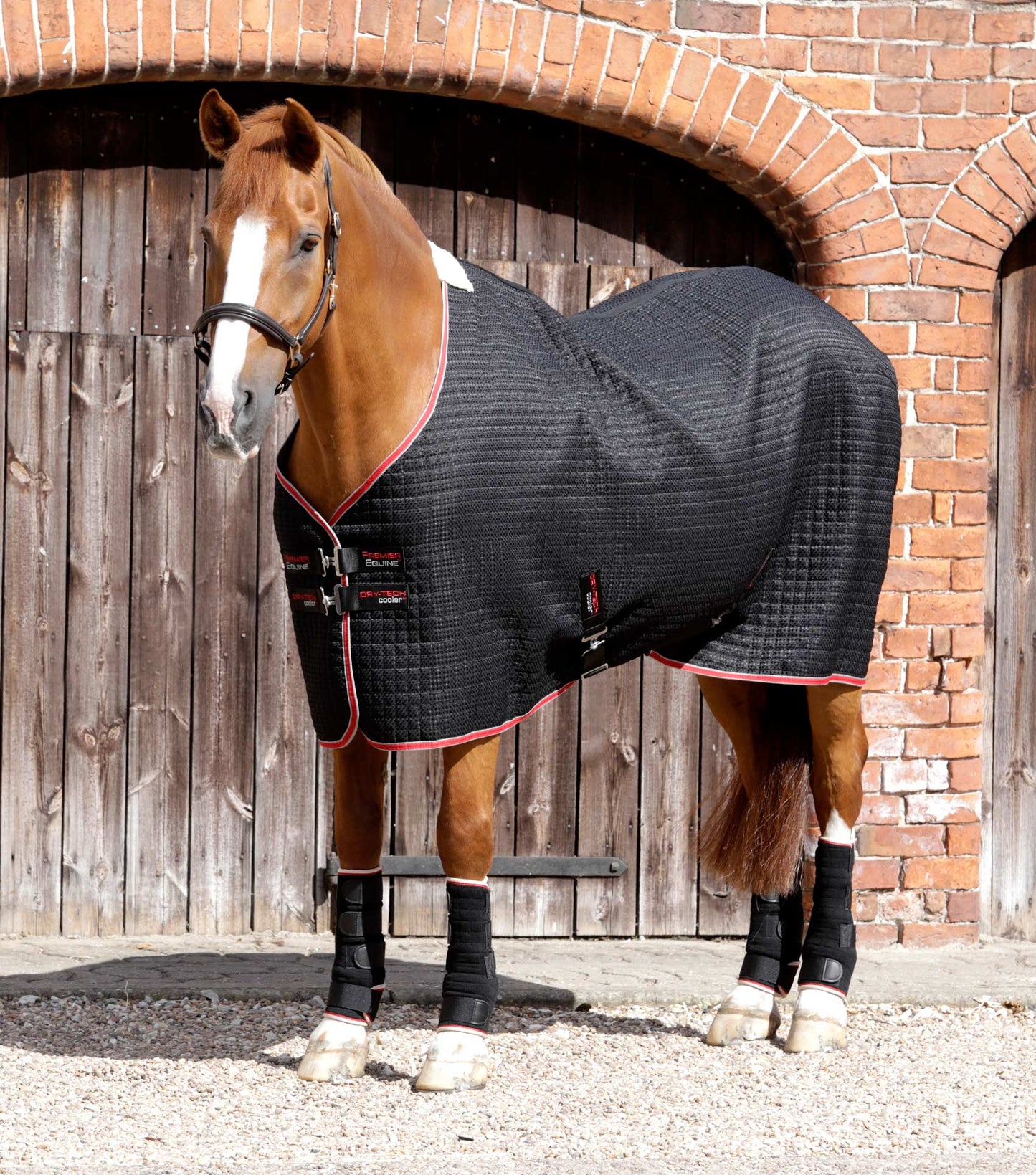 Premier Equine Dry-Tech Horse Cooler / Travel Rug