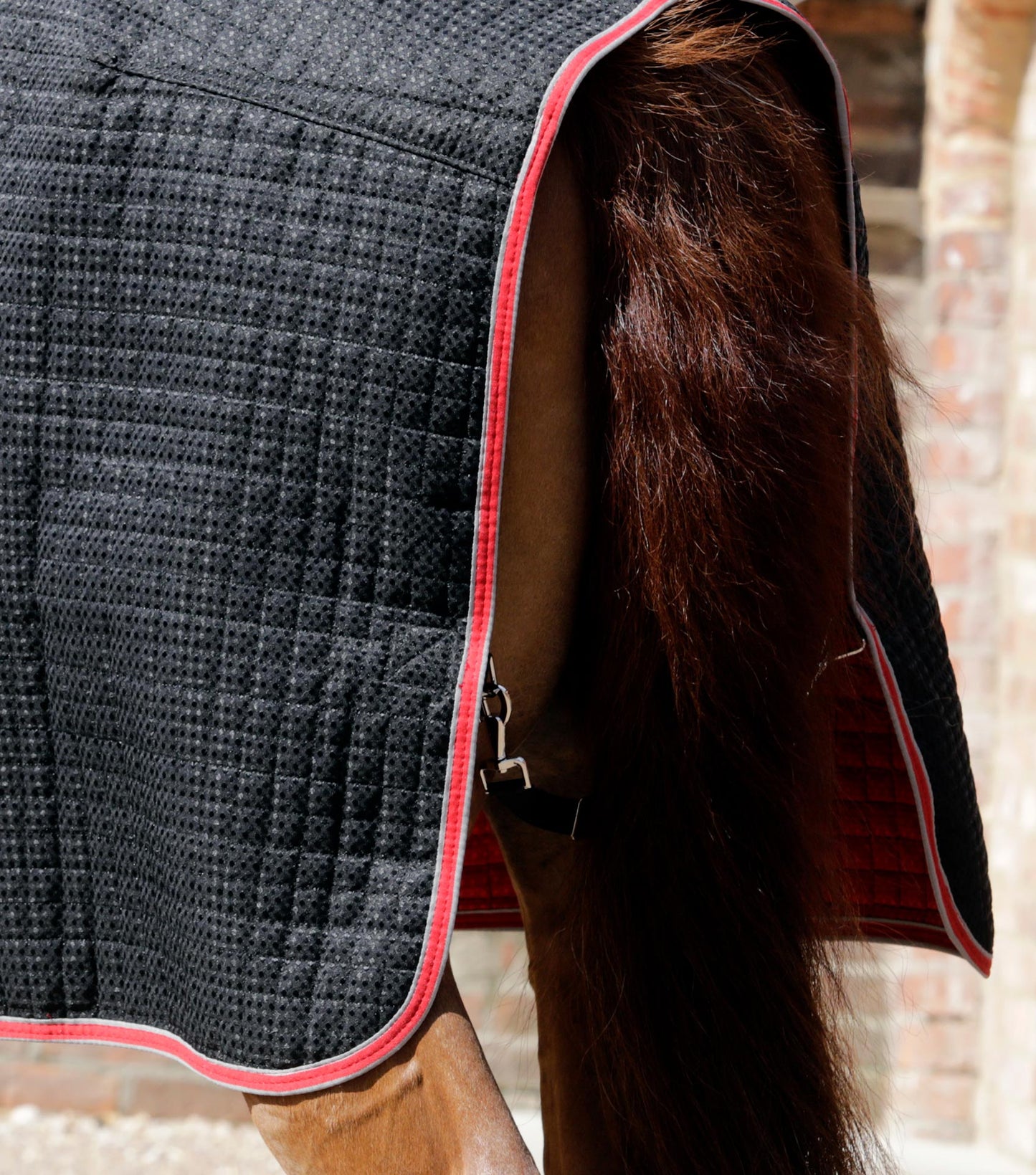 Premier Equine Dry-Tech Horse Cooler / Travel Rug
