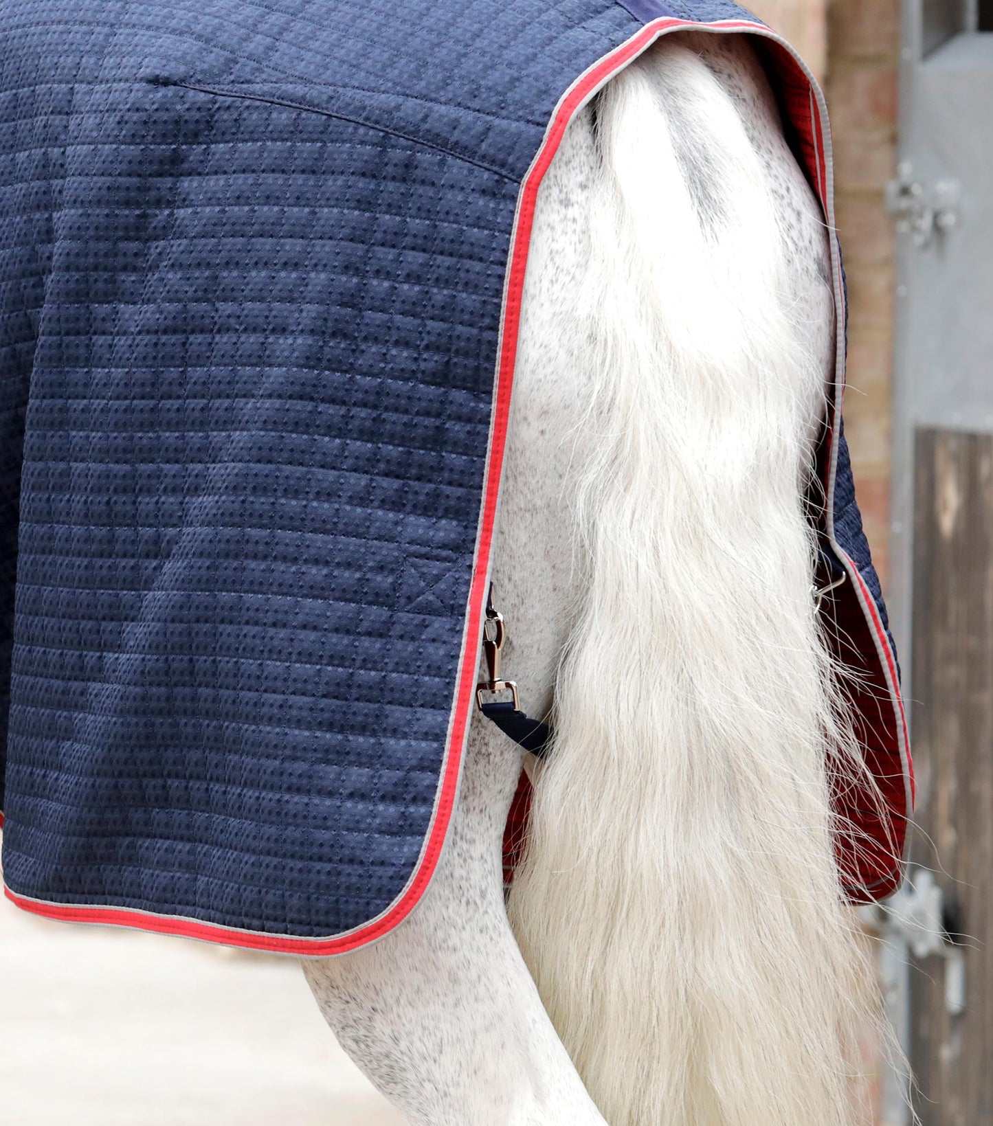 Premier Equine Dry-Tech Horse Cooler / Travel Rug