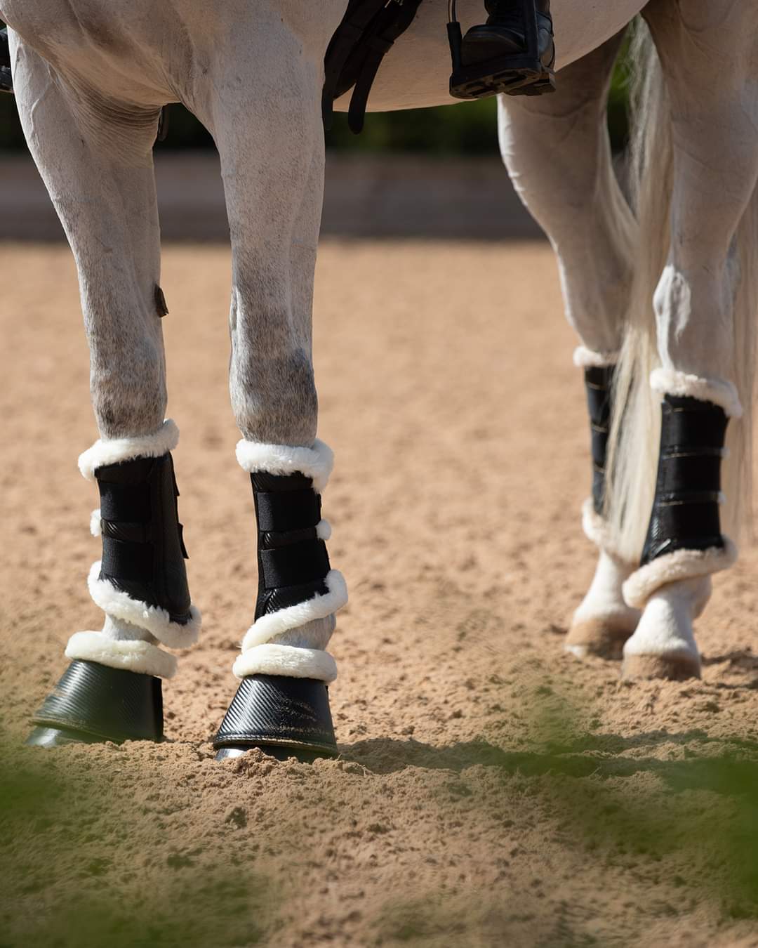 Premier Equine Techno Wool Brushing Boots