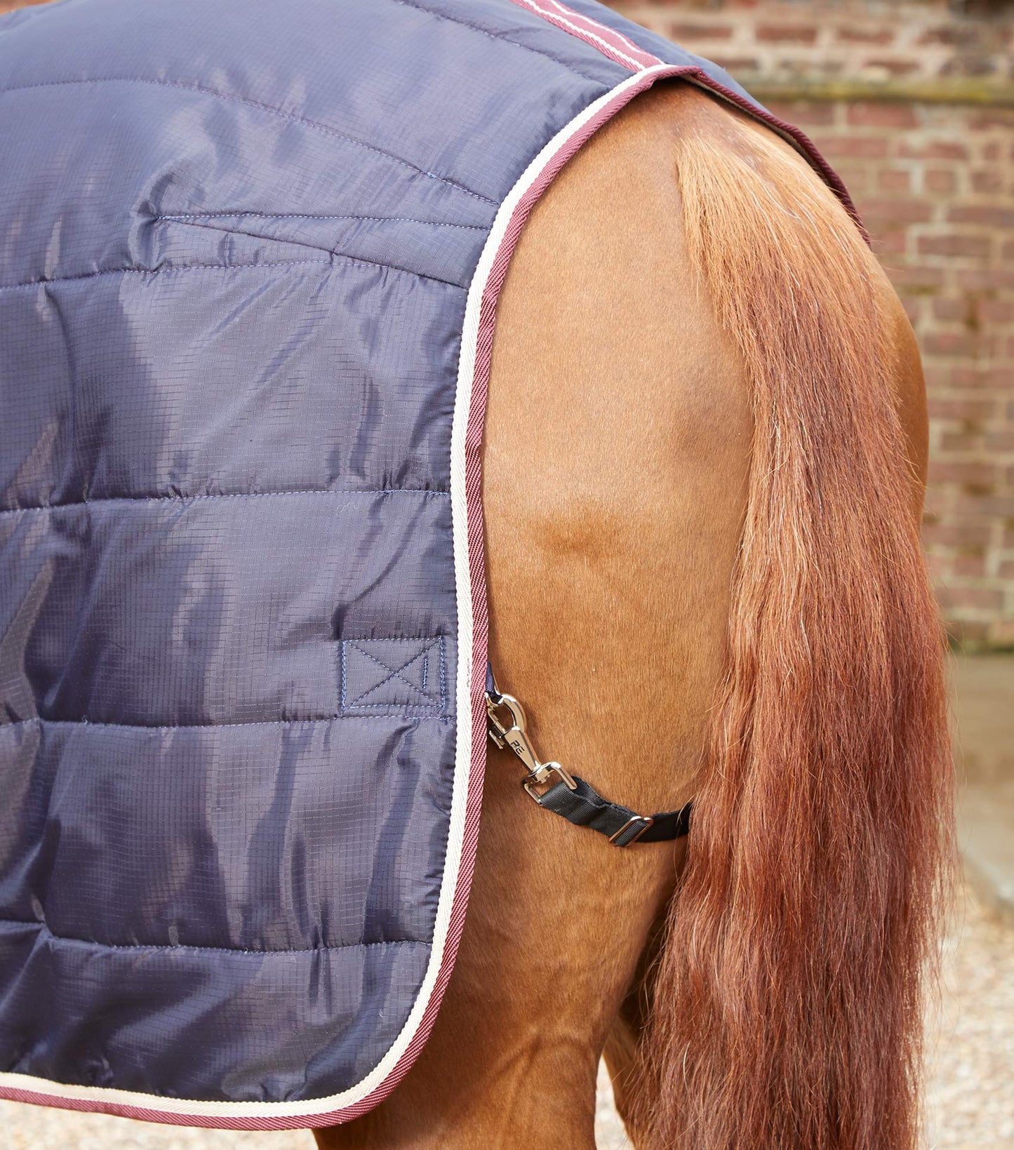 Premier Equine Garissa Stable Rug 100g