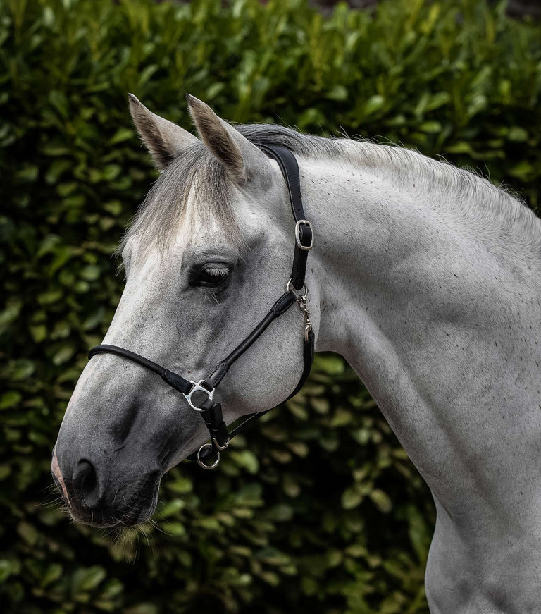 Premier Equine Hennaroso Rolled Anatomic Leather Halter
