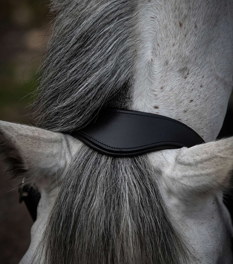 Premier Equine Hennaroso Rolled Anatomic Leather Halter