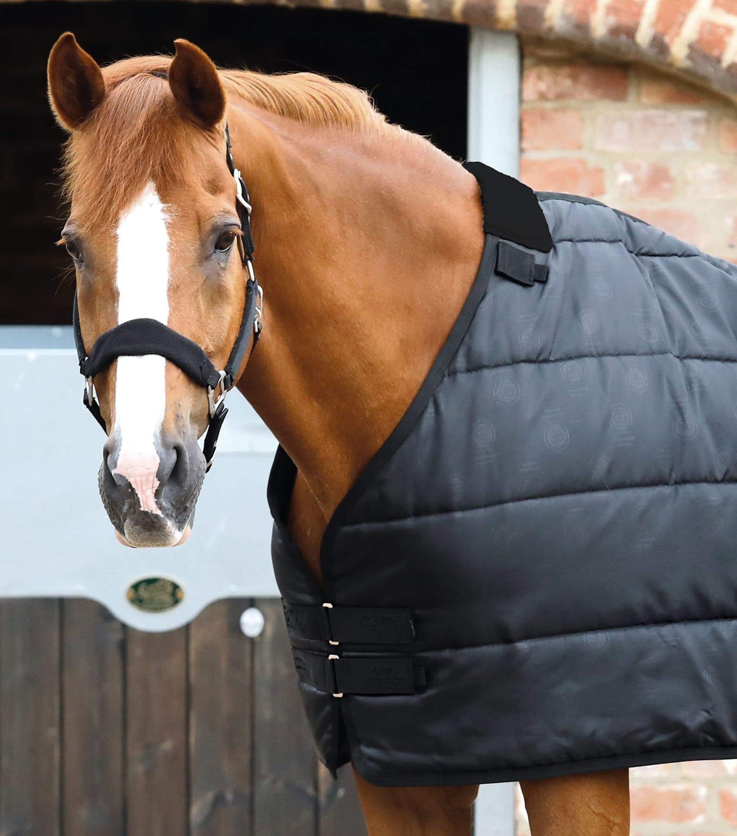 Premier Equine Horse Rug Liners: 50g, 100g, 200g & 350g