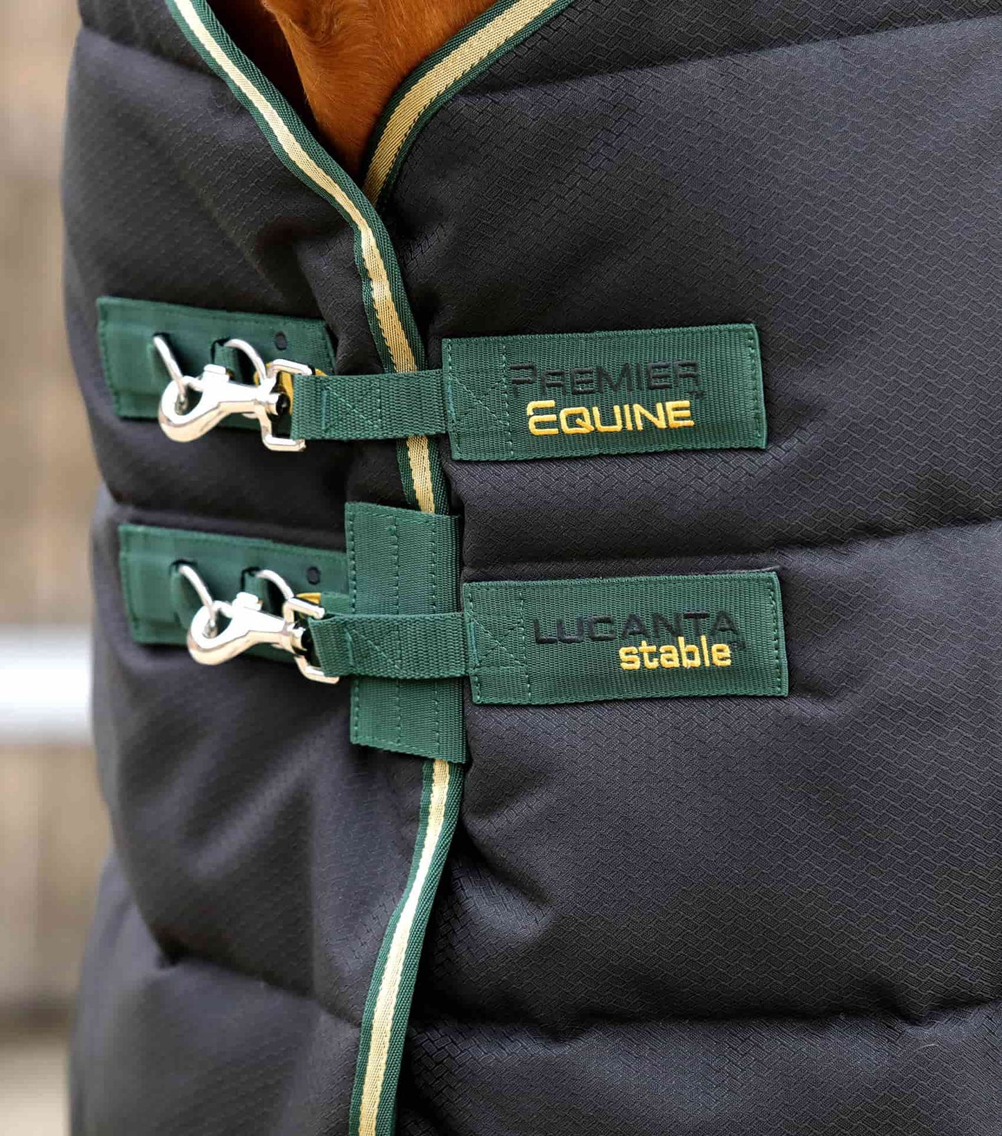 Premier Equine Lucanta Demi Stable 450g