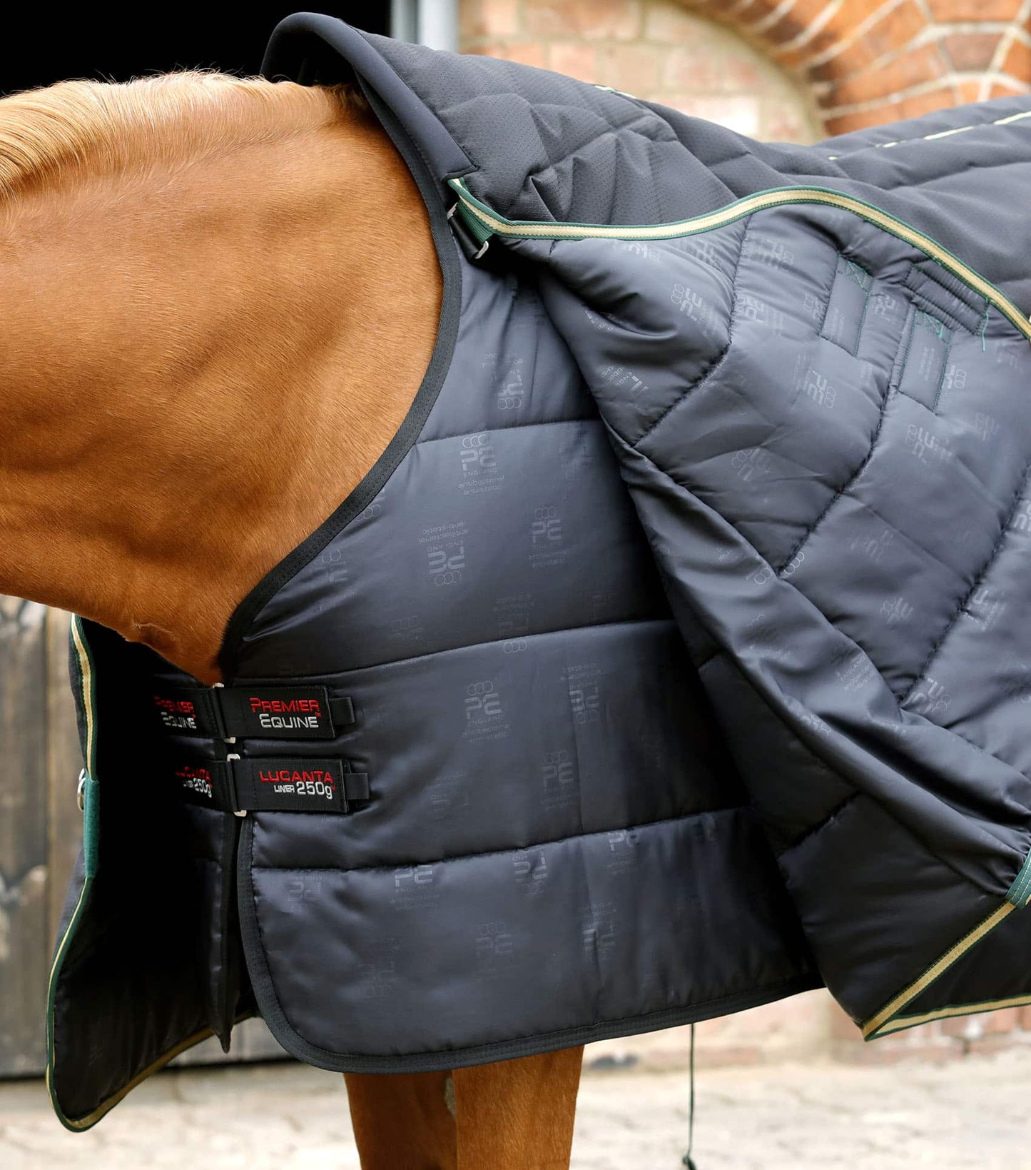 Premier Equine Lucanta Demi Stable 450g