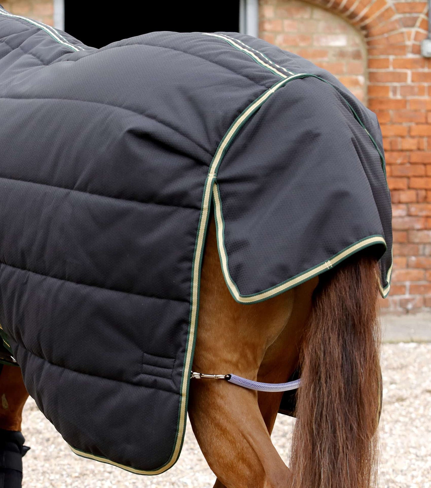 Premier Equine Lucanta Demi Stable 450g