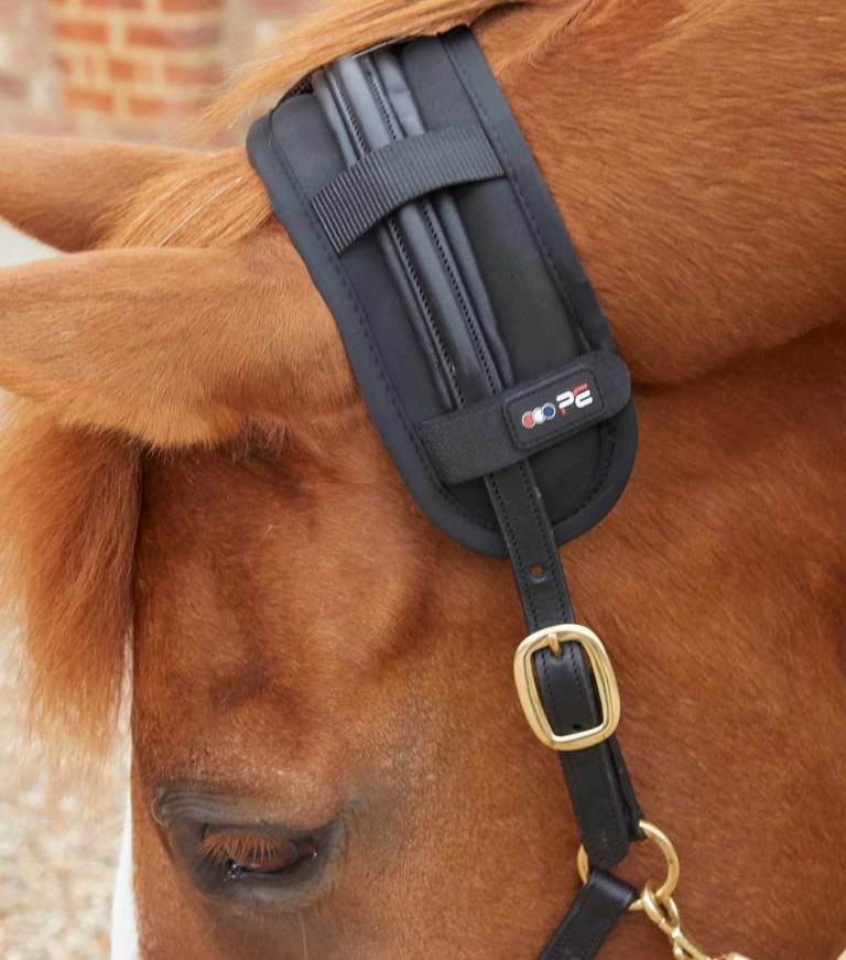 Premier Equine Magni-Teque Magnetic Poll Band