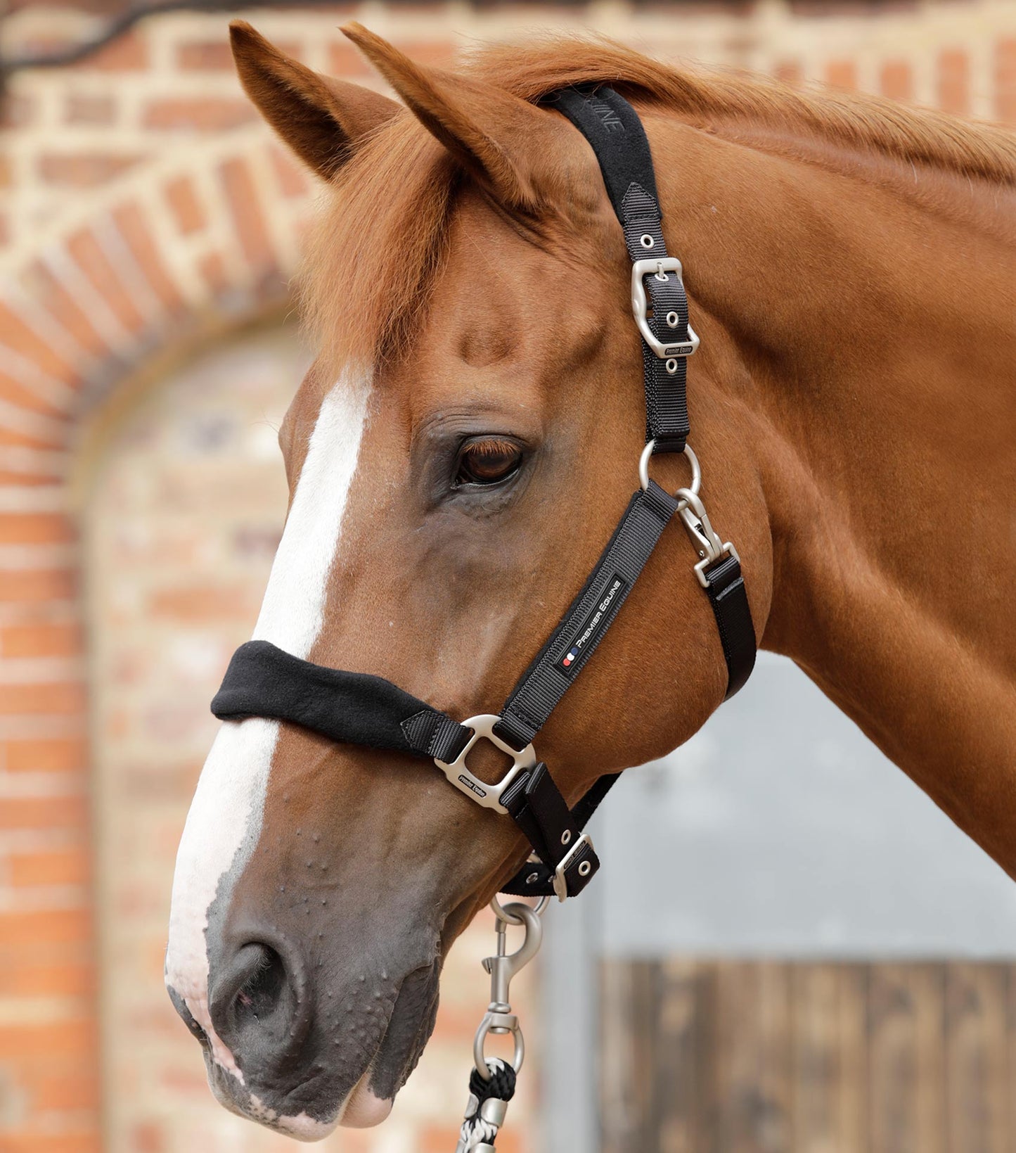Premier Equine Fleece Padded Horse Head Collar / halter