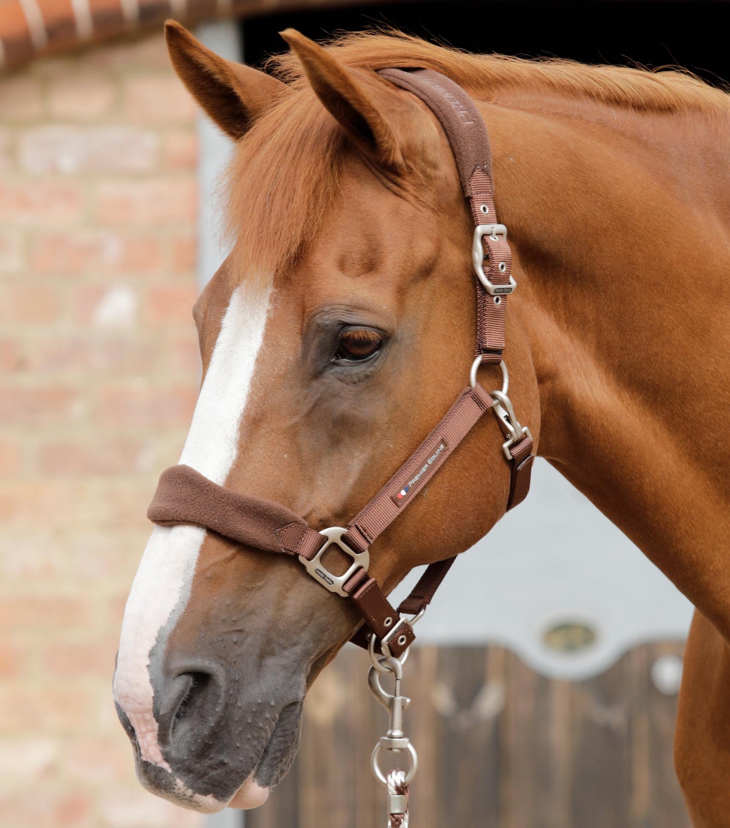 Premier Equine Fleece Padded Horse Head Collar / halter