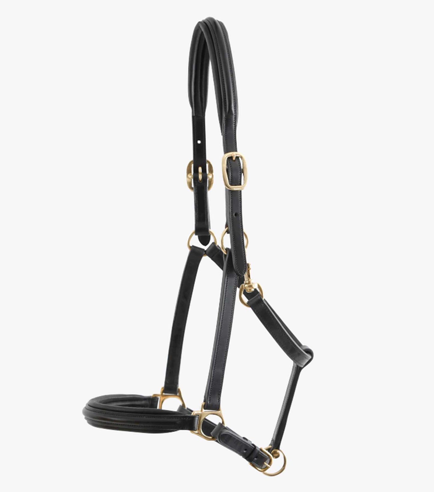 Premier Equine Rego Padded Leather Head Collar / halter