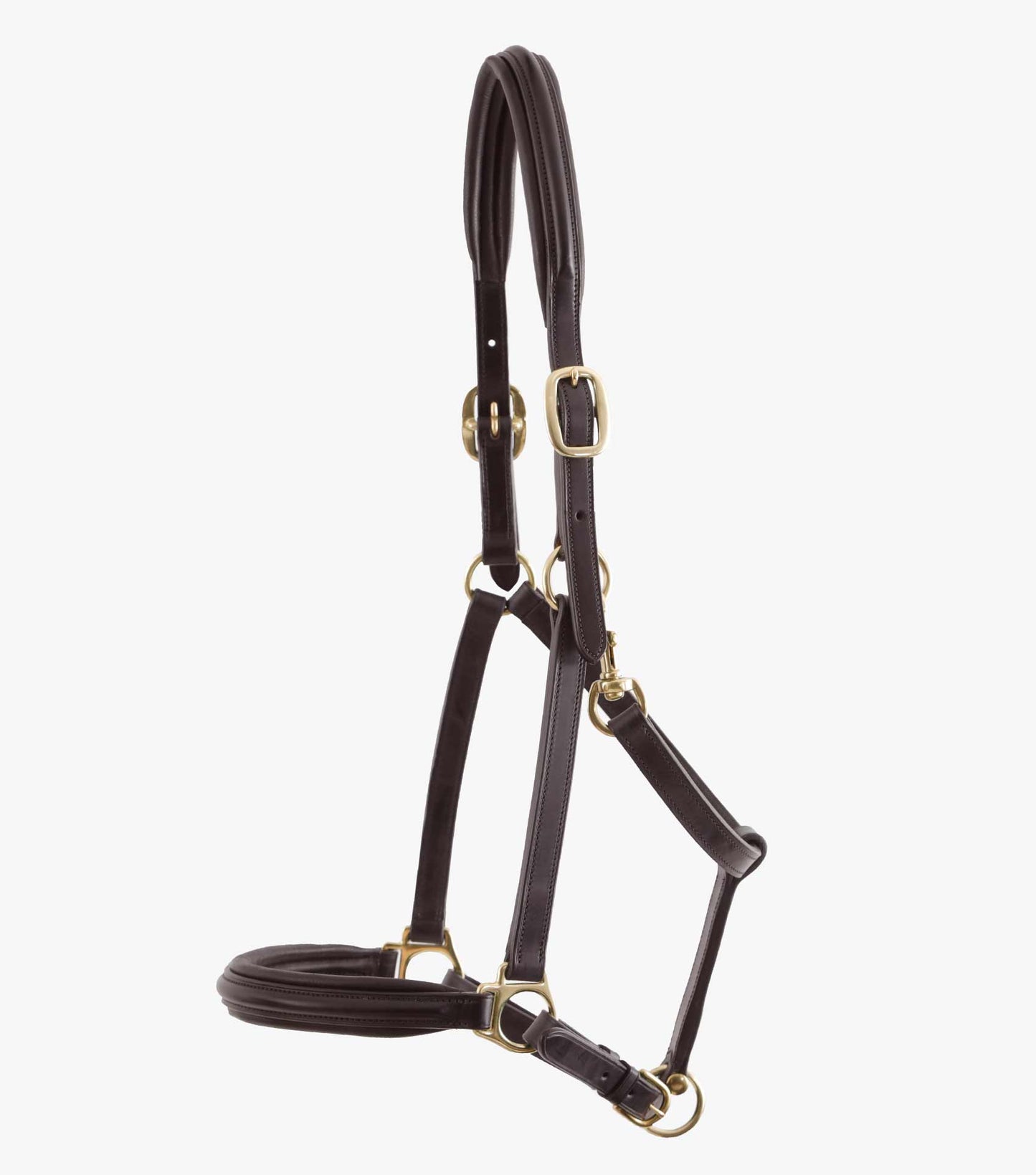 Premier Equine Rego Padded Leather Head Collar / halter