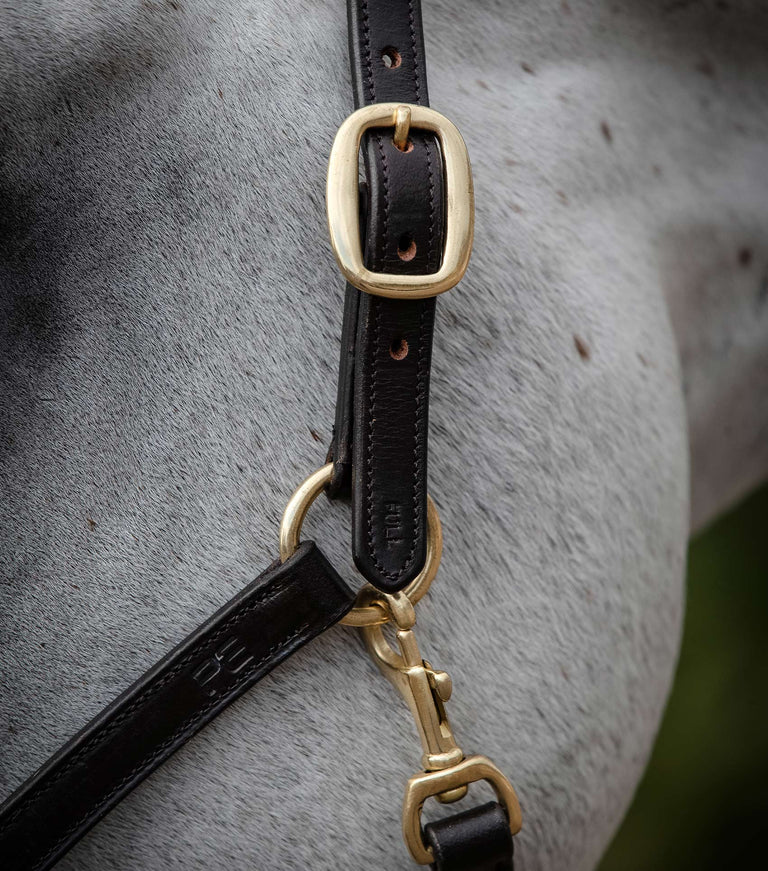 Premier Equine Rego Padded Leather Head Collar / halter