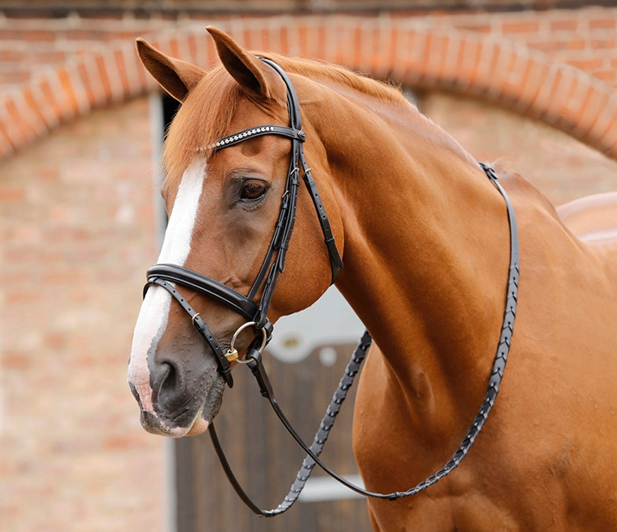 Premier Equine Pietro Laced Reins