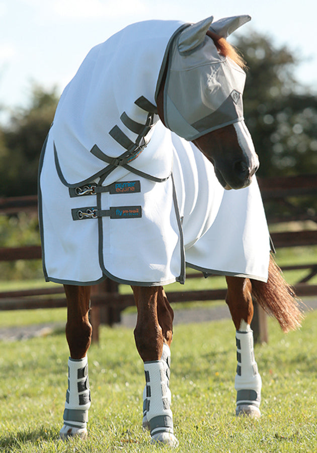 Premier Equine Pro-Tech Bug & Fly Boots - Robyn's Tack Room