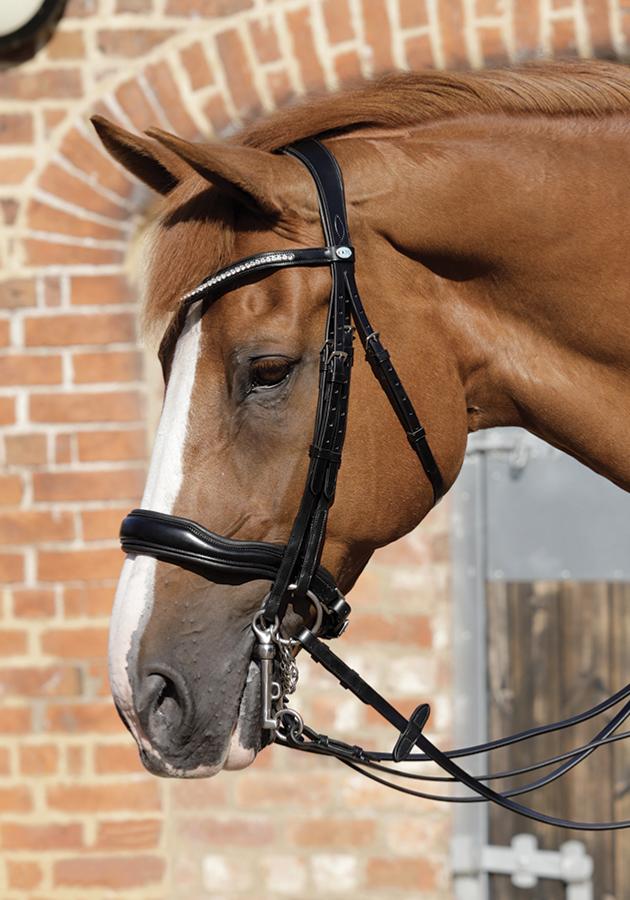 Premier Equine Abriano Anatomic Double Bridle