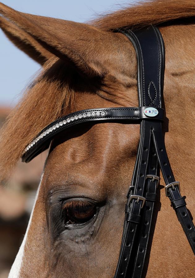 Premier Equine Abriano Anatomic Double Bridle