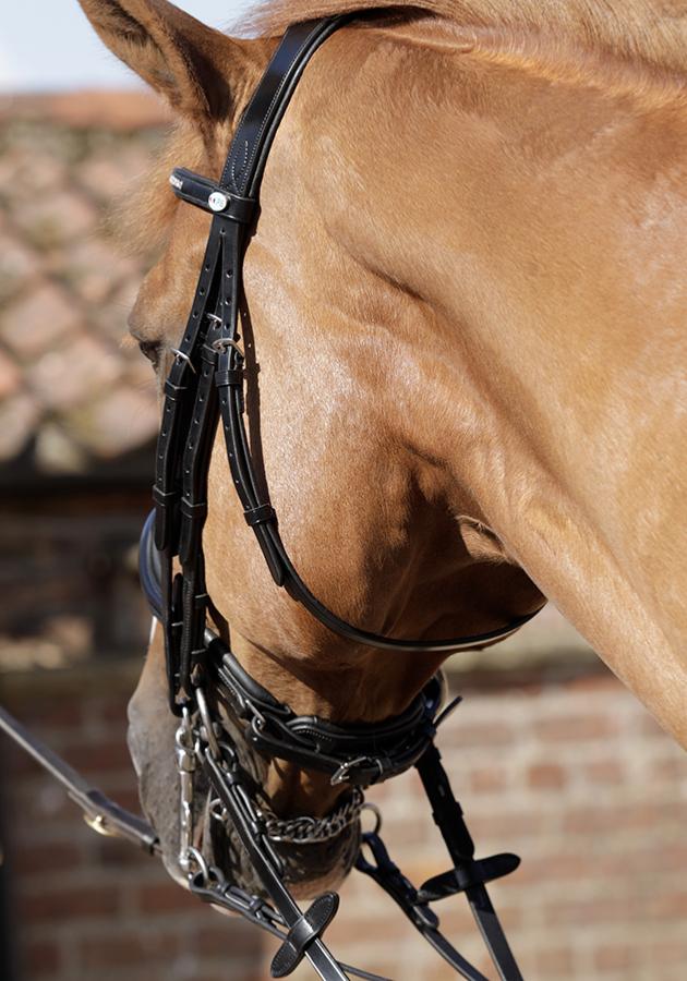 Premier Equine Abriano Anatomic Double Bridle