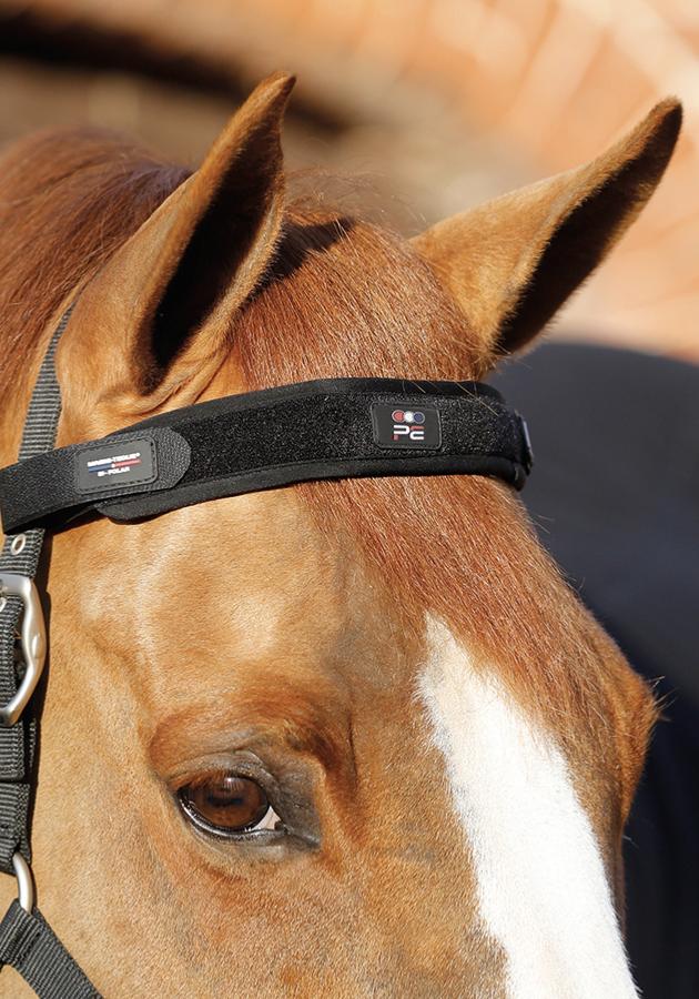 Premier Equine Magni-Teque Magnetic Browband - Robyn's Tack Room