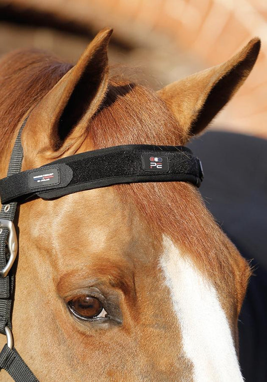Premier Equine Magni-Teque Magnetic Browband - Robyn's Tack Room