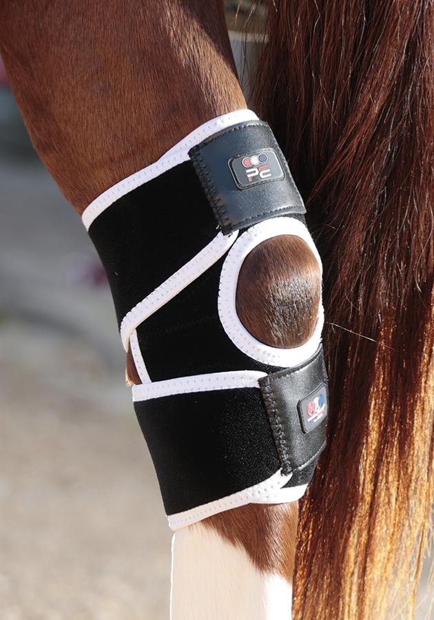 Premier equine best sale magnetic wraps