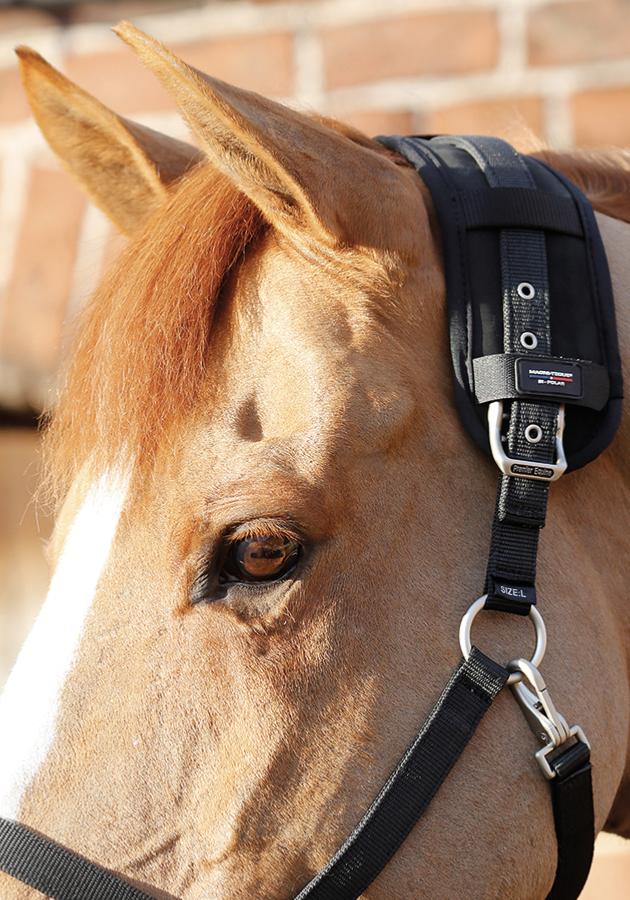 Premier Equine Magni-Teque Magnetic Poll Band - Robyn's Tack Room