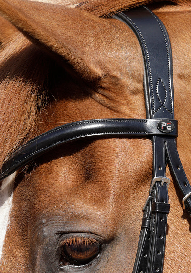 Premier Equine Rizzo Anatomic Snaffle Bridle with Flash