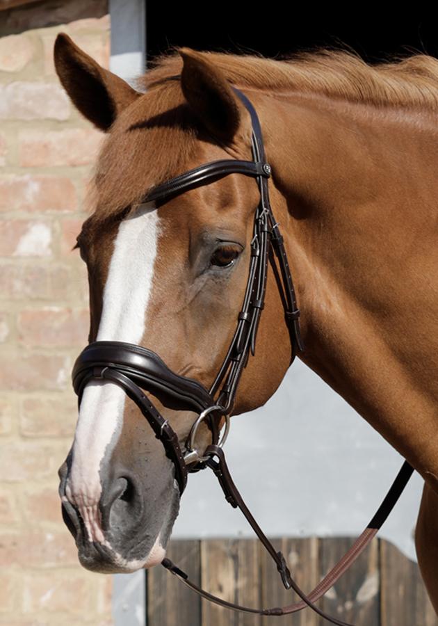 Premier Equine Rizzo Anatomic Snaffle Bridle with Flash