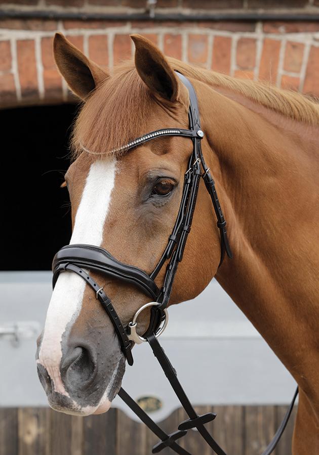 Premier Equine Stellazio Anatomic Snaffle Bridle with Flash