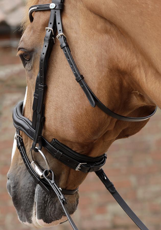 Premier Equine Stellazio Anatomic Snaffle Bridle with Flash