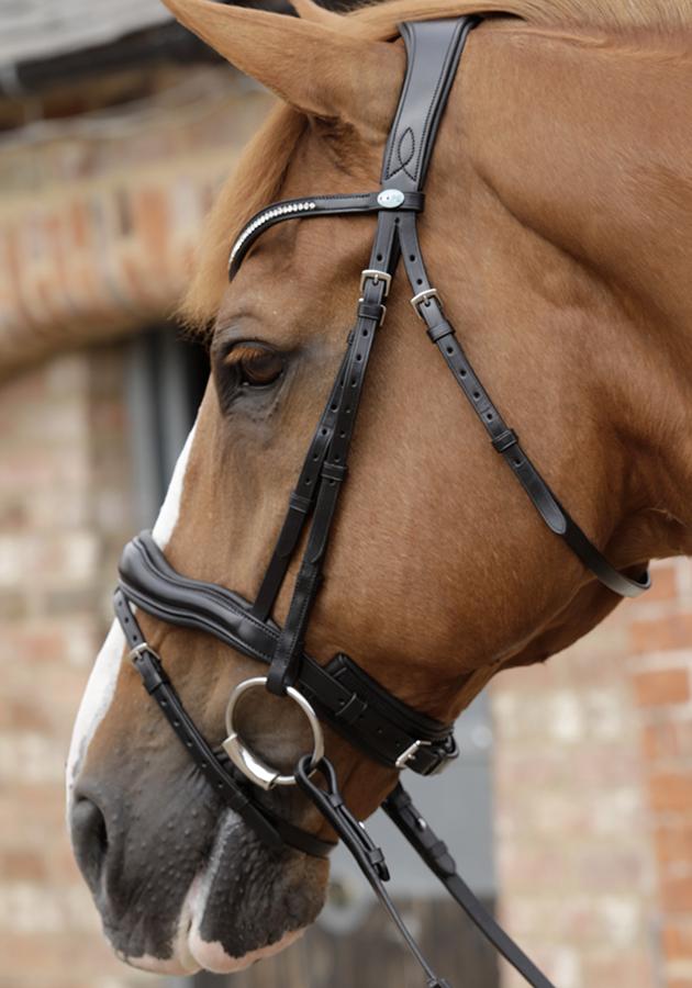 Premier Equine Stellazio Anatomic Snaffle Bridle with Flash