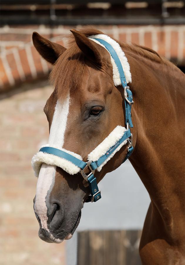 Premier Equine Techno Wool Lined Halter / Head Collar