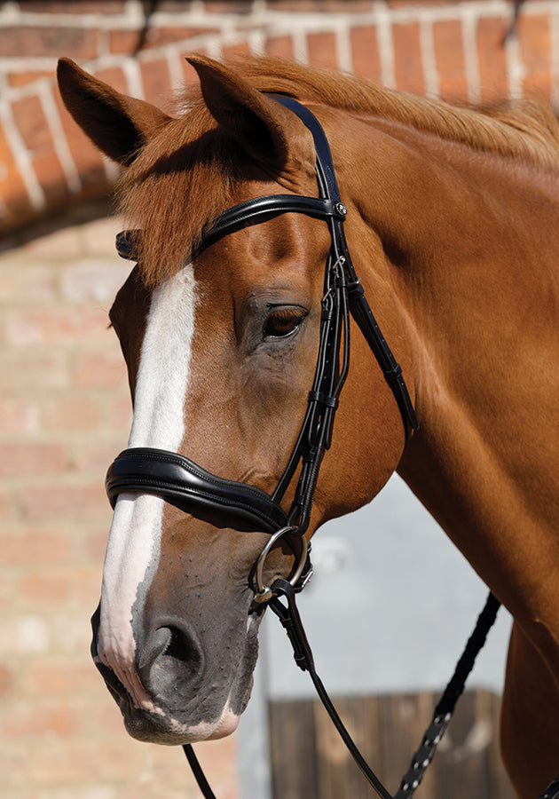 Premier Equine Verdura Anatomic Snaffle Bridle