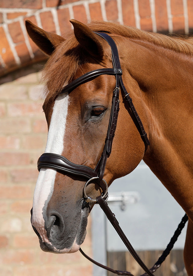 Premier Equine Verdura Anatomic Snaffle Bridle
