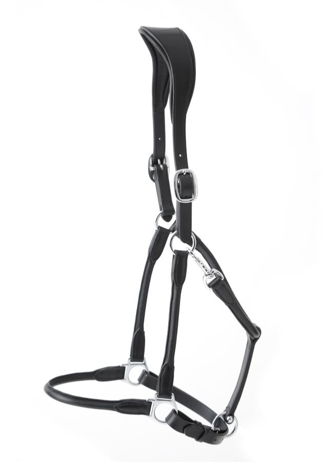 Premier Equine Hennaroso Rolled Anatomic Leather Halter