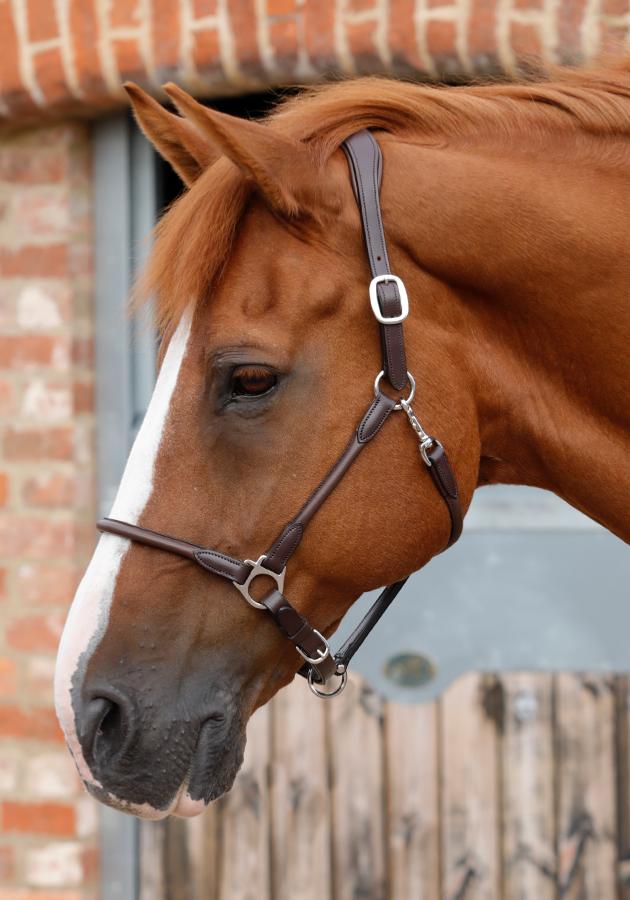 Premier Equine Hennaroso Rolled Anatomic Leather Halter