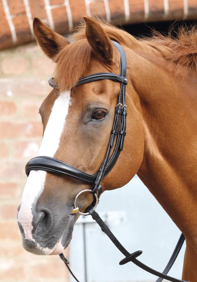 PE Lambro Anatomic Bridle with Crank Noseband