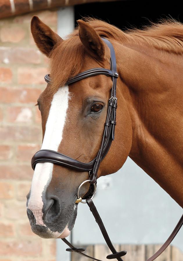 PE Lambro Anatomic Bridle with Crank Noseband