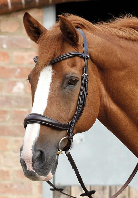 PE Lambro Anatomic Bridle with Crank Noseband