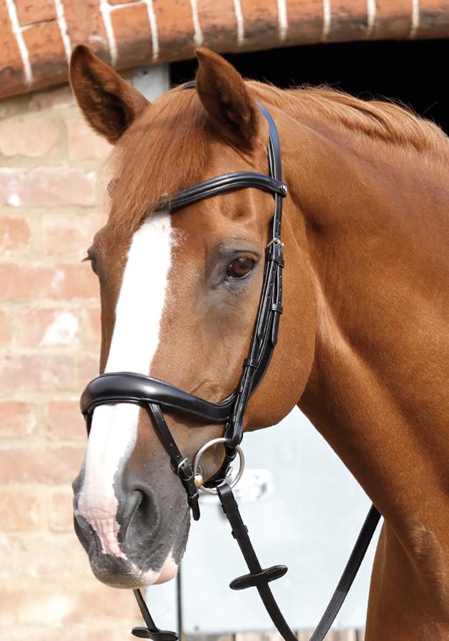 PE Savuto Anatomic Bridle with Crank Noseband & Flash