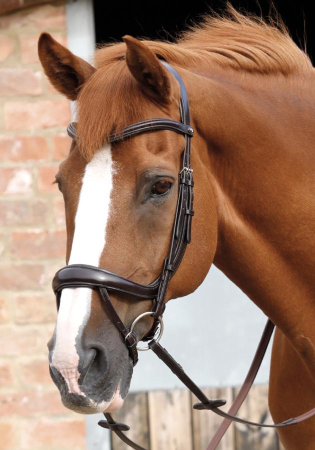 PE Savuto Anatomic Bridle with Crank Noseband & Flash