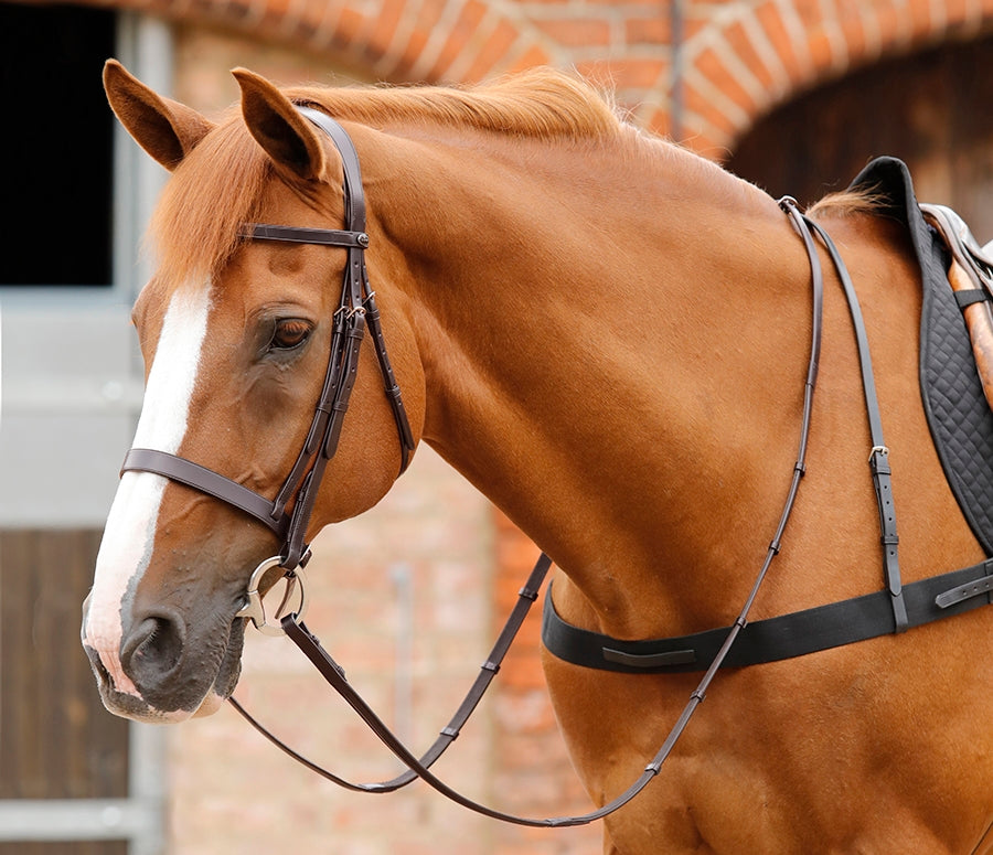 Premier Equine Salvatore Rubber & Leather Grip Reins