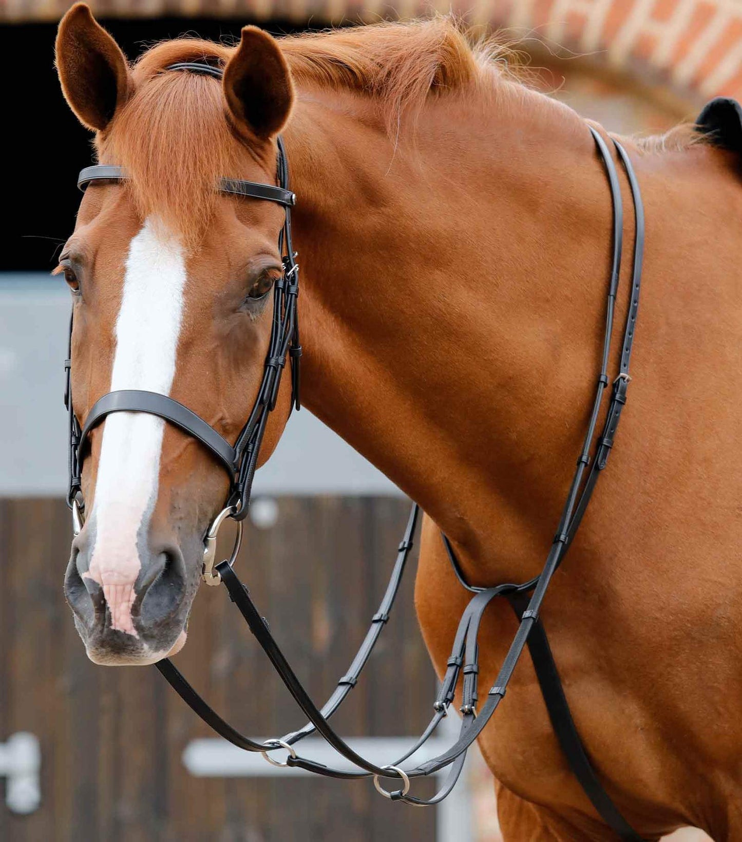 Premier Equine Santadi Adjustable Running Martingale