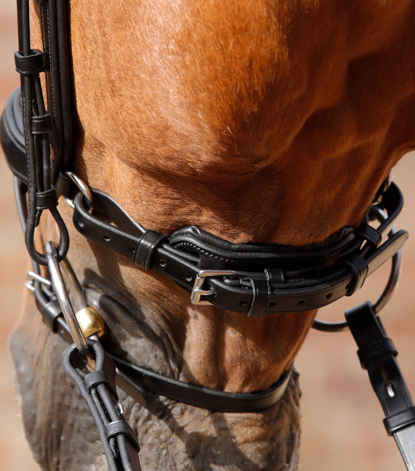 PE Savuto Anatomic Bridle with Crank Noseband & Flash
