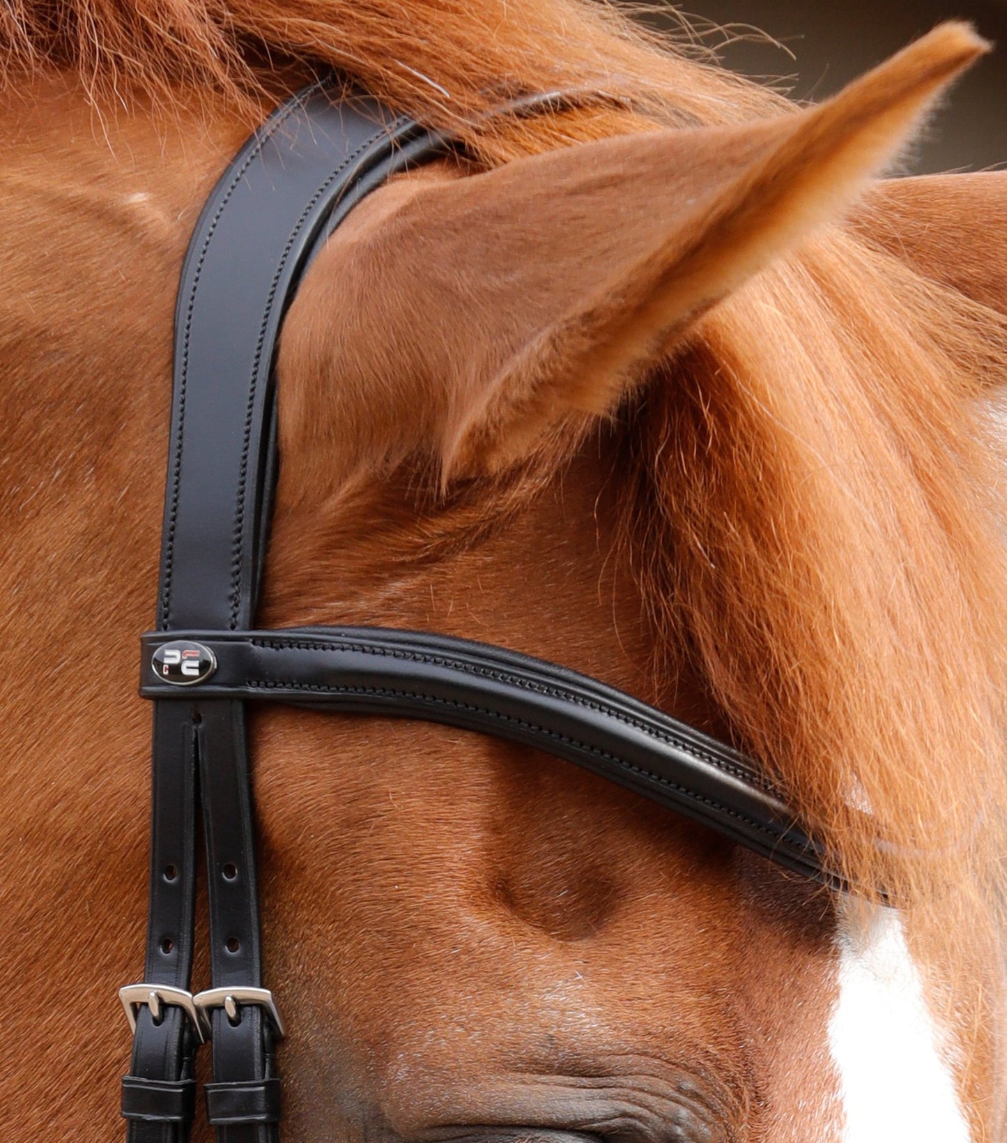 PE Savuto Anatomic Bridle with Crank Noseband & Flash